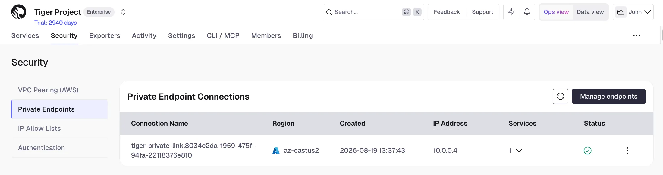A private endpoint connection with an IP address and an attached service