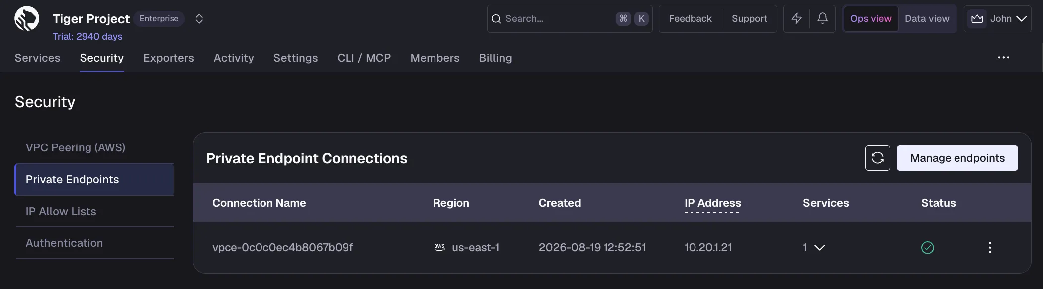 A private endpoint connection with an IP address and an attached service