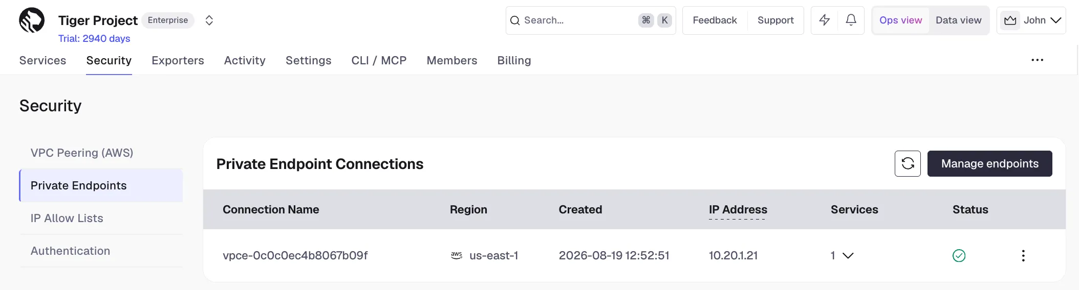 A private endpoint connection with an IP address and an attached service